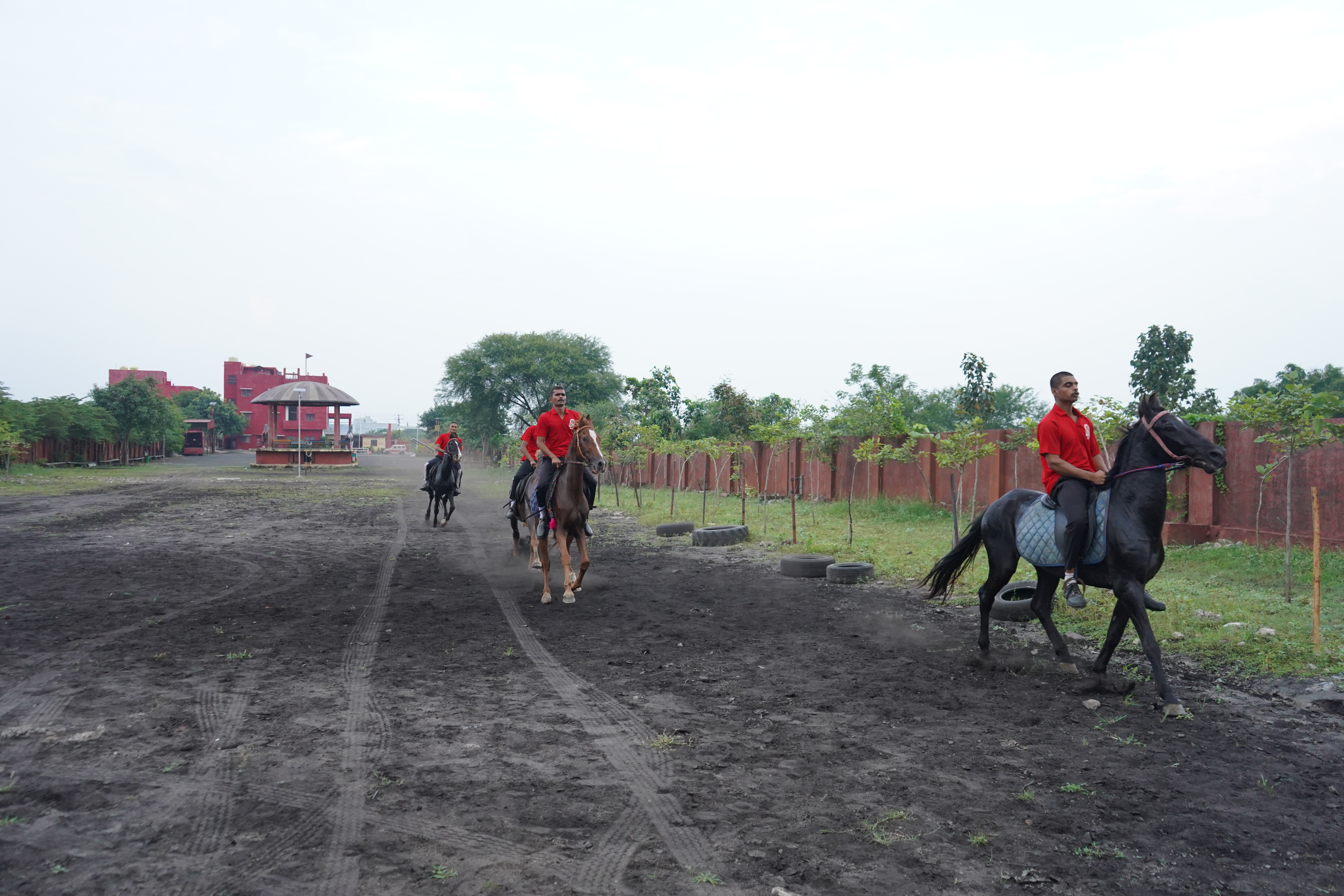 HORSE RIDING